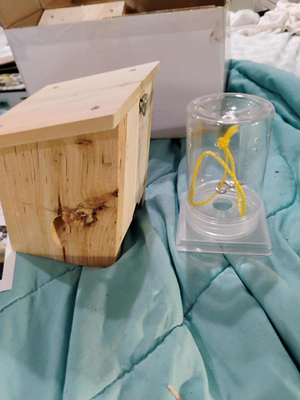 Clear Plastic Display Dome with Yellow Cord The Carpenter Bee Trap That Works!